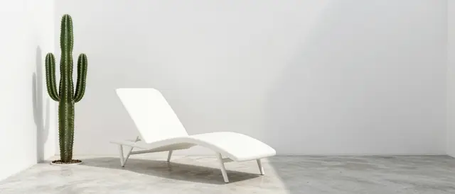 A white lounge chair sits beside a tall saguaro cactus in an empty minimalist sunroom with white walls and concrete flooring