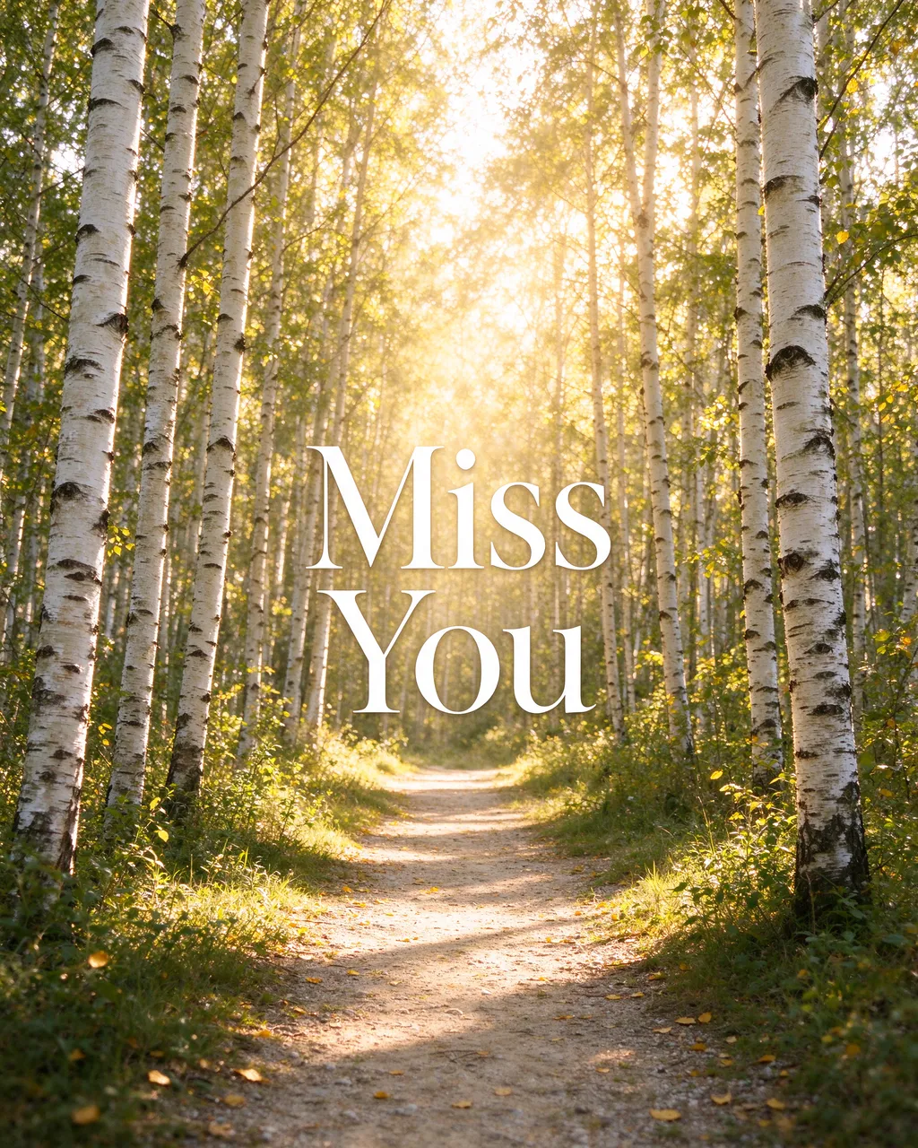 Sunlit dirt path through a birch forest with the text "Miss You" in white serif lettering.