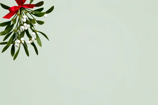 A mistletoe sprig tied with a red ribbon hangs in the top left corner of a pale sage empty background
