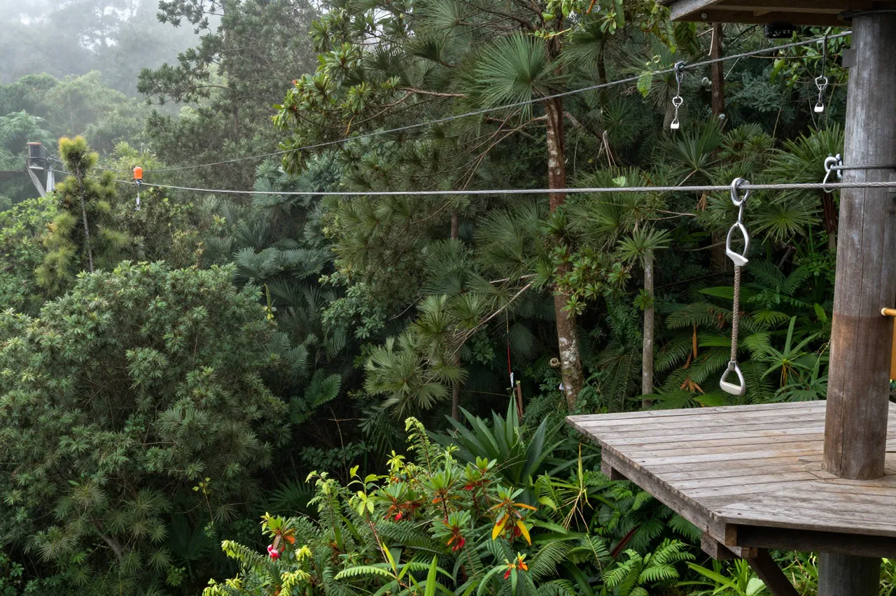 Empty wooden zipline platform extends over dense foggy tropical forest with stretched steel cables
