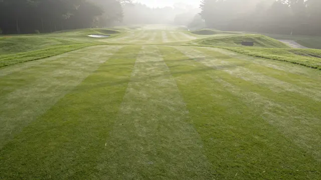 Striped mowed golf fairway stretches through soft morning mist toward distant treeline