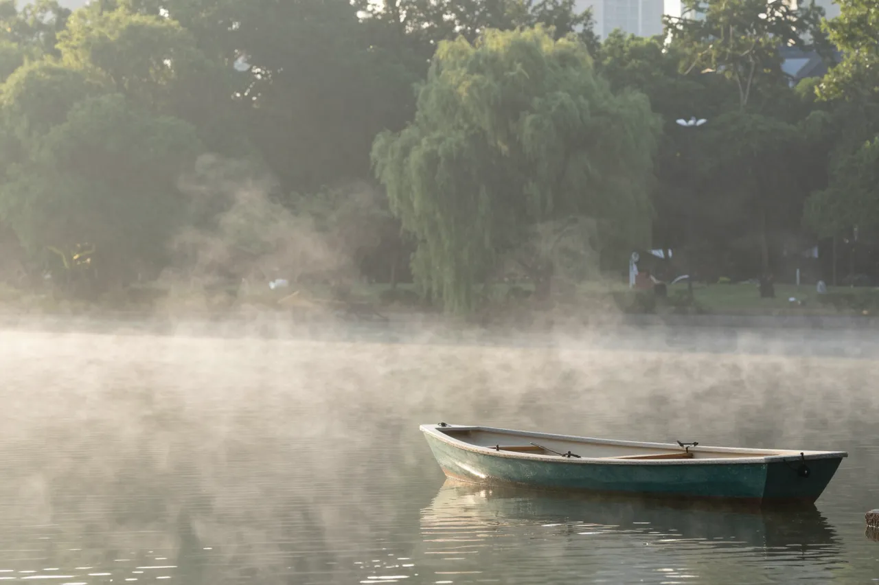 A lone rowboat floats on misty park lake water at early morning, framed by treeline and soft fog