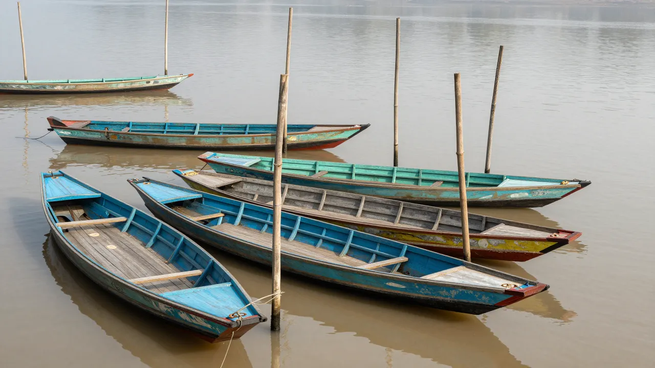 Long narrow painted wooden boats tied to bamboo poles on calm brown misty river water at morning