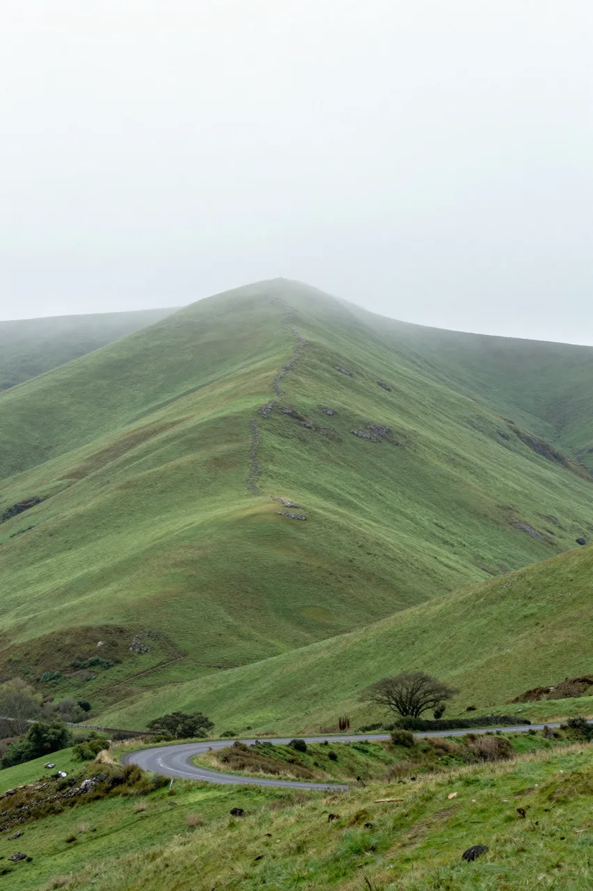 Winding country road cuts through grassy mist-covered hills under an overcast foggy sky