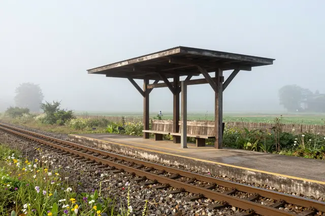 Empty small rural railway platform with a wooden shelter surrounded by wildflowers in soft morning mist