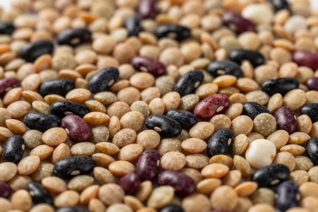 Close-up full-frame view of mixed dried lentils and assorted beans with subtle water droplets