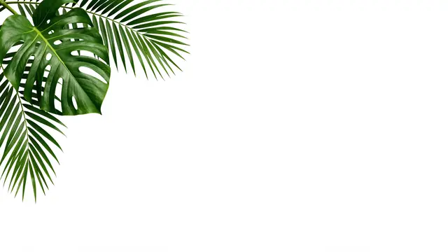 Glossy green monstera and palm leaves cluster in the top left against a plain white empty background