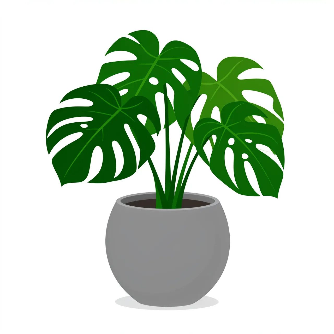Flat clipart illustration of a leafy monstera houseplant in a round grey ceramic pot on a white background