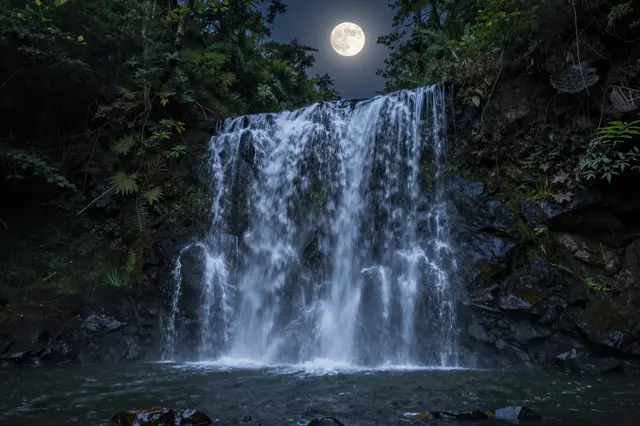 A cascading waterfall flows over dark rocks under a bright full moon in a dense night forest