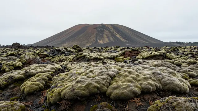 Thick green moss covers a lava field beneath a rounded cinder cone under overcast skies