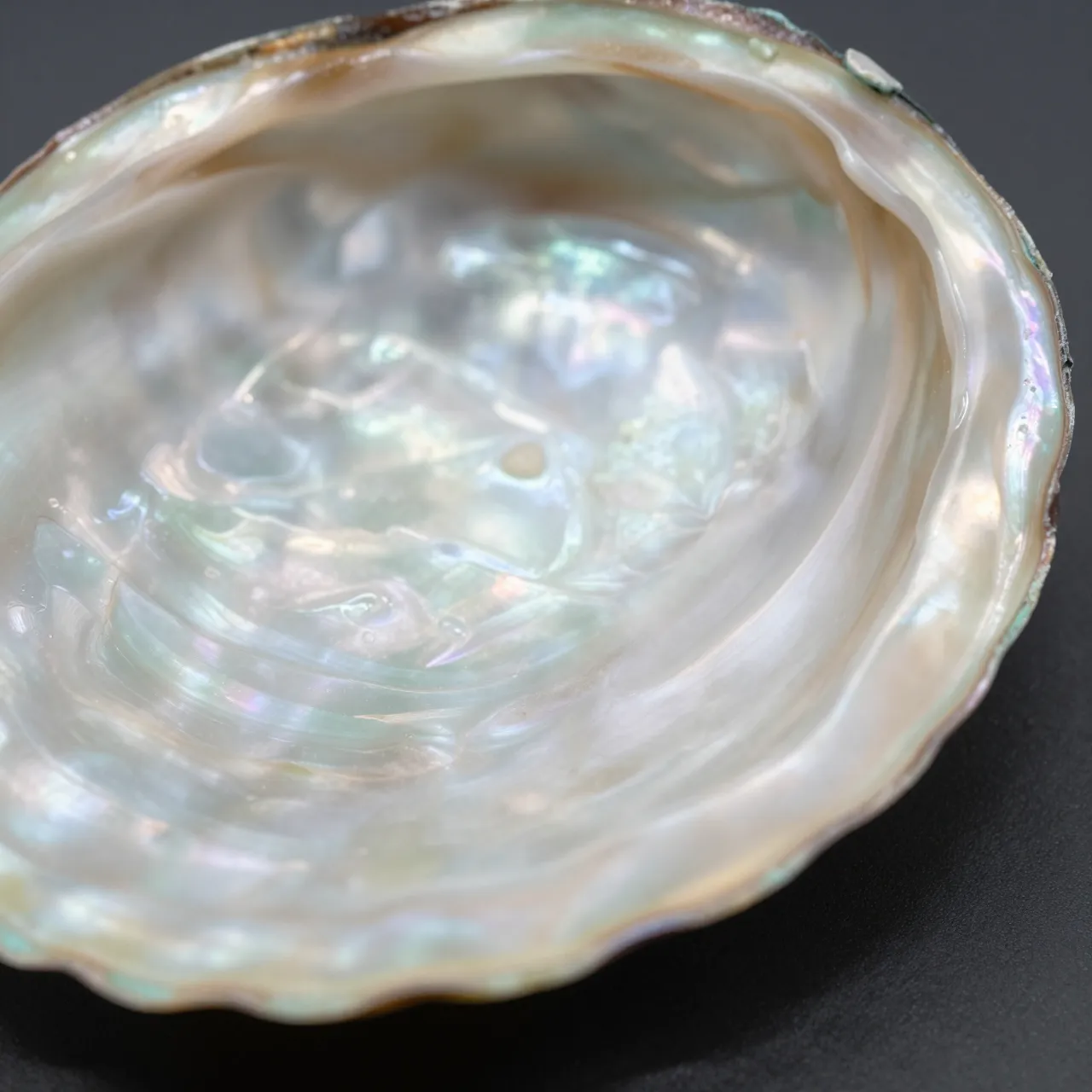 Close-up macro view of iridescent mother-of-pearl shell resting on a dark neutral surface