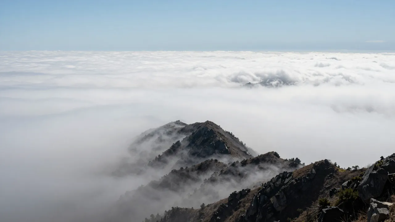 Rocky mountain peaks rise above a vast, sunlit sea of clouds under a clear pale blue midday sky