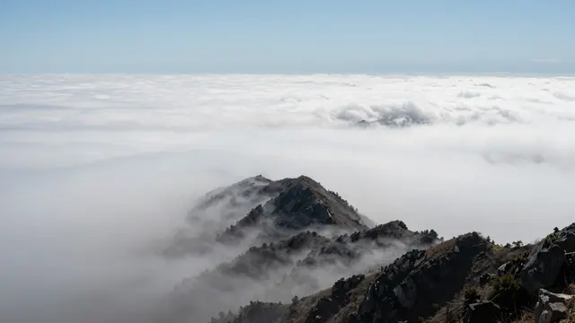 Rocky mountain peaks rise above a vast, sunlit sea of clouds under a clear pale blue midday sky