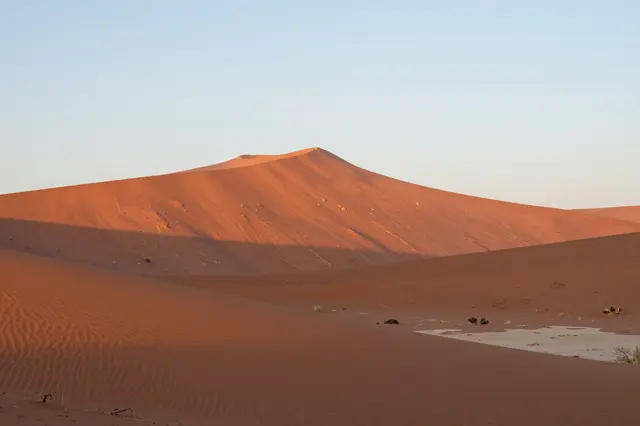 Towering red sand dunes stretch across the Namib desert under a pale clear sky at sunrise