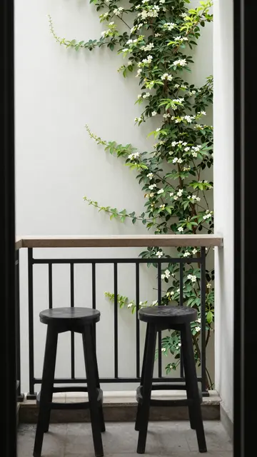 Small narrow balcony with bar ledge, two black stools, and climbing jasmine against a white wall