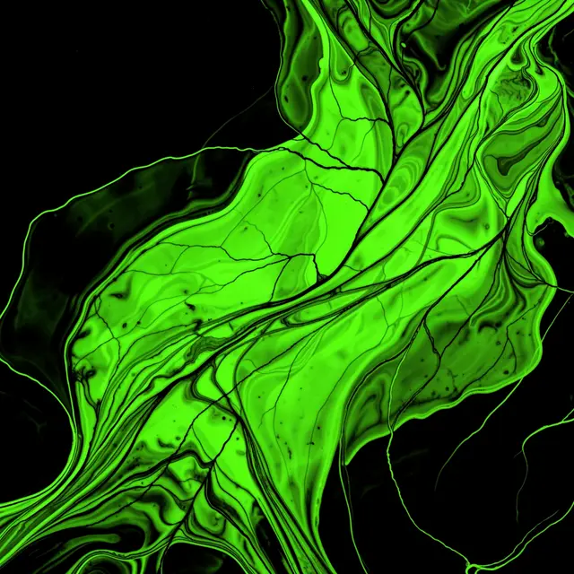 Swirling neon green fluid patterns with fine black veins against a solid black background