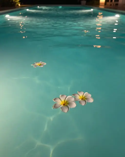 Floating white frangipani flowers rest on glowing turquoise resort pool water lit by underwater lights at night.