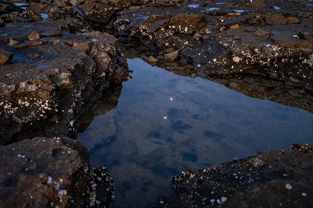 Clear still tide pool on a dark barnacle-covered rocky shore reflects pinprick starlight at night
