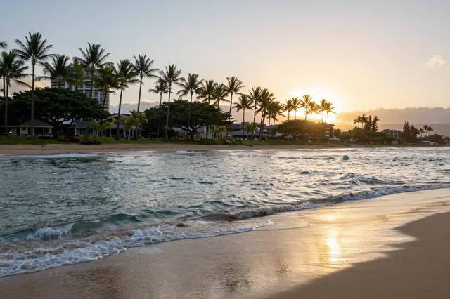Gentle ocean waves lap a sandy beach lined with palm trees at golden Oahu sunset