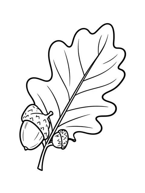 Simple bold black line drawing of an oak leaf with two acorns on a plain white background