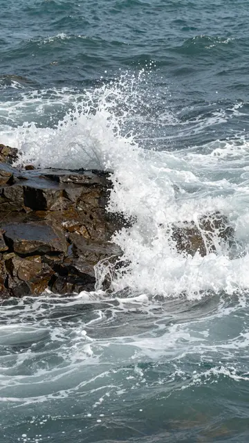White foamy ocean waves crash against jagged dark coastal rocks under bright daylight.