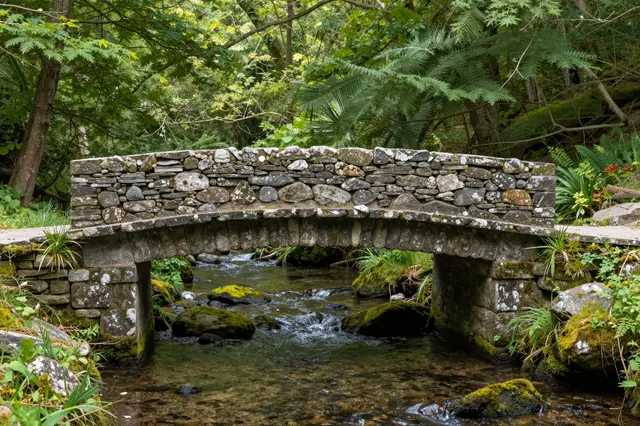 Weathered dry-stone footbridge spans a mossy shallow stream in a lush summer wooded ravine