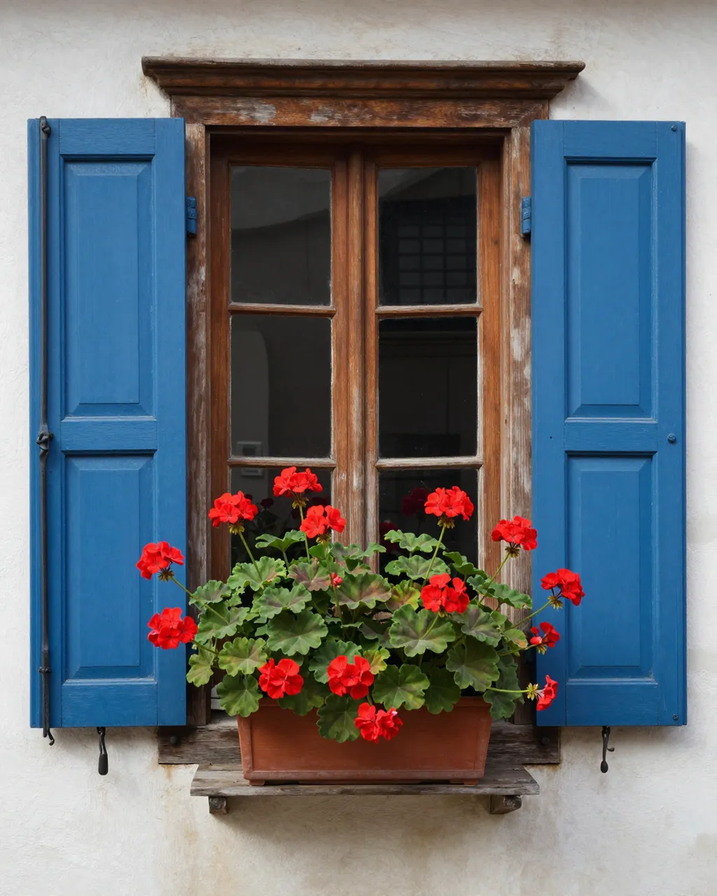 A weathered wooden window with open blue shutters holds a terracotta planter full of bright red geraniums against a white