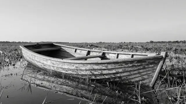 Weathered old wooden rowboat rests half submerged in a grassy flooded meadow under a pale sky in black and white
