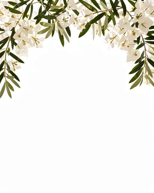 Green olive leaves and white bougainvillea frame the top of a blank warm white copy space background