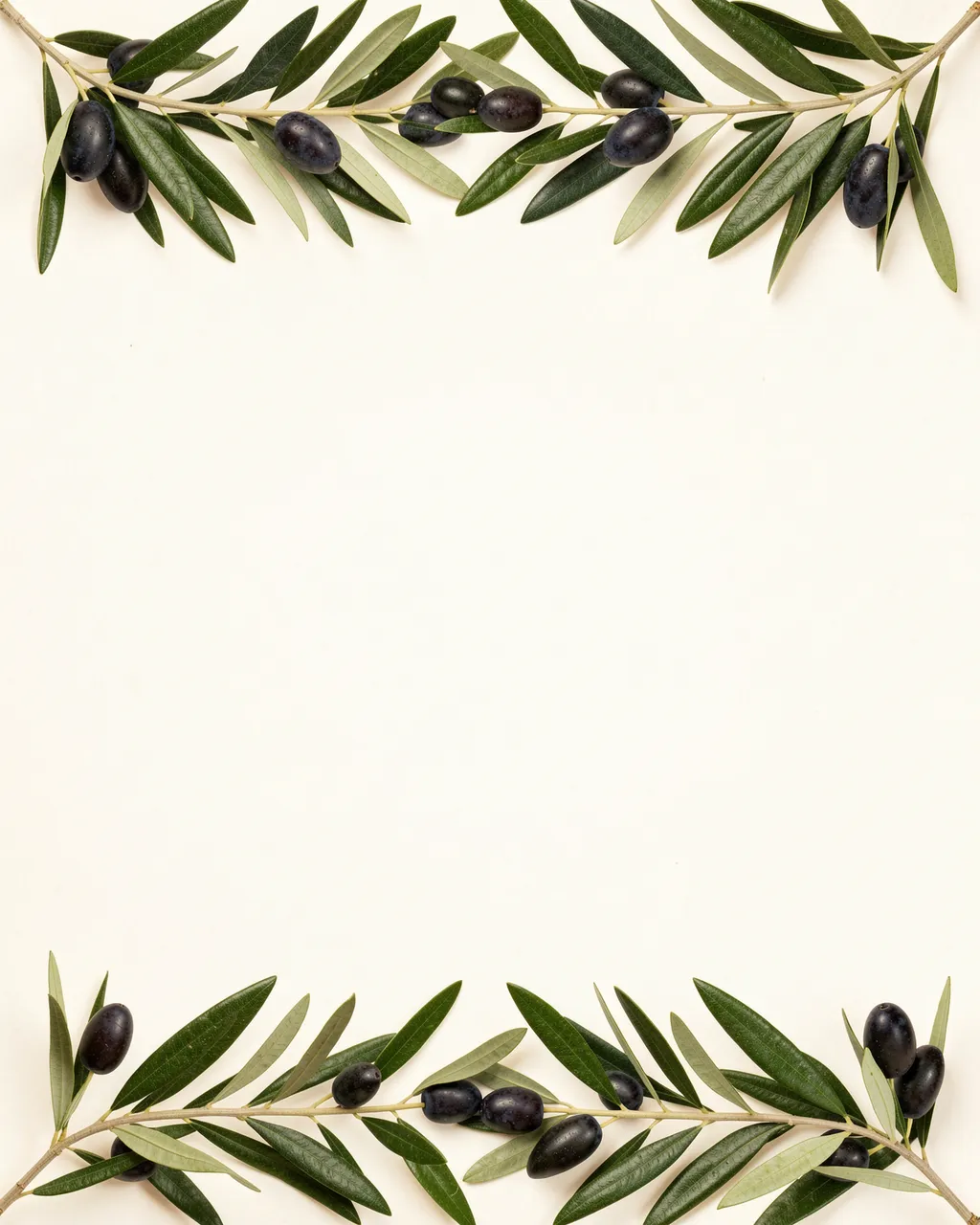 Olive branches with dark olives line the top and bottom of an empty warm white paper background.