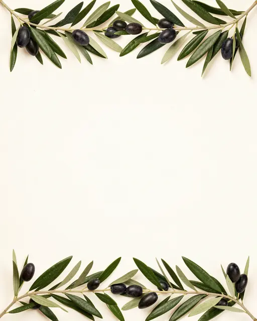 Olive branches with dark olives line the top and bottom of an empty warm white paper background.