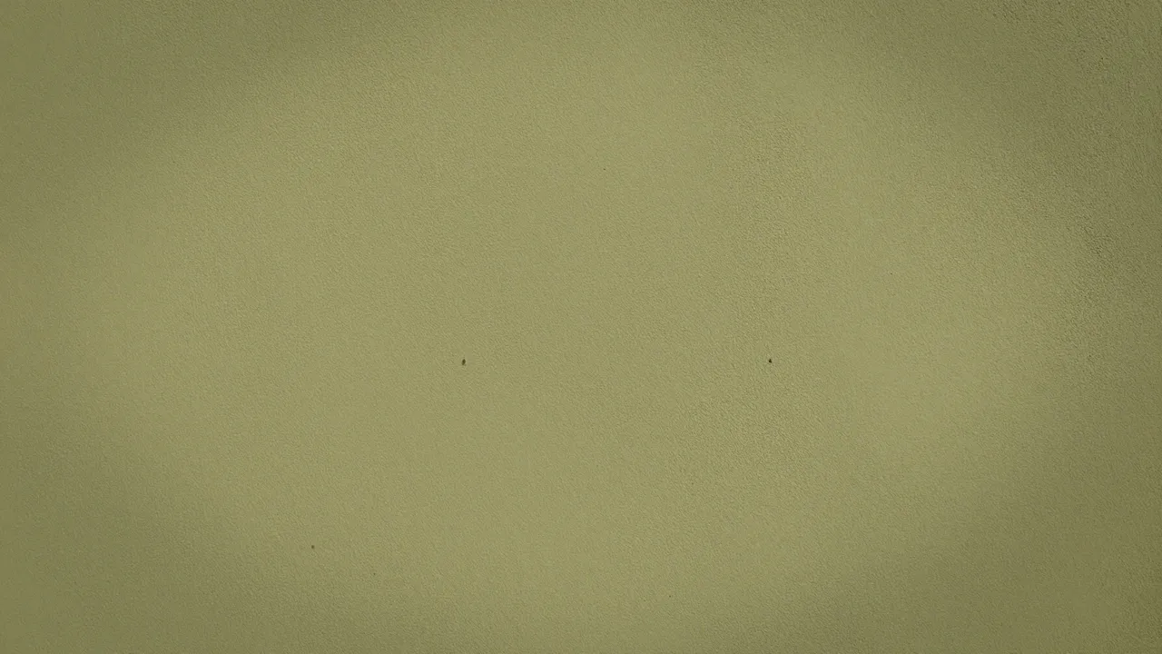 Textured matte olive green plaster wall with warm even afternoon lighting and subtle small dark specks
