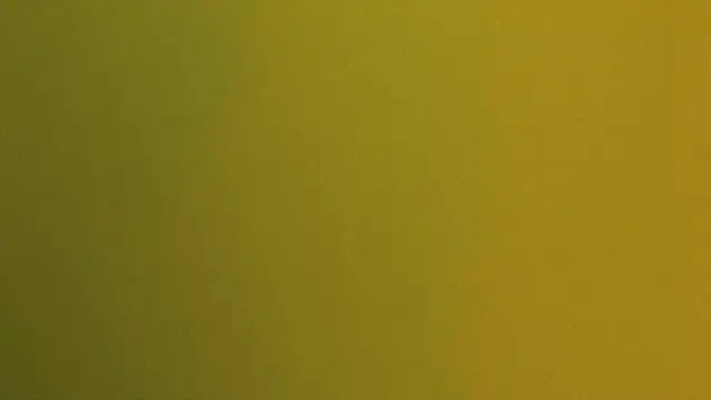 Smooth grainy gradient background transitioning from olive green to warm mustard yellow