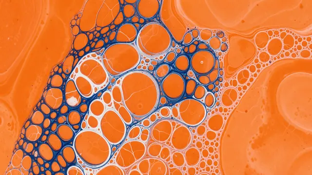 Lacy cell patterns of cobalt blue and white spread across a tangerine orange fluid pour background