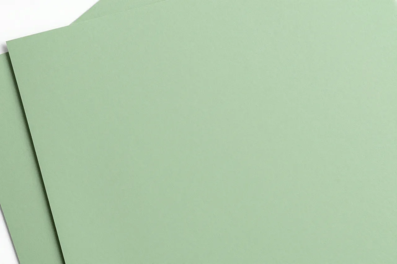 Two overlapping matte sage green paper sheets with a soft diagonal shadow line on a plain background