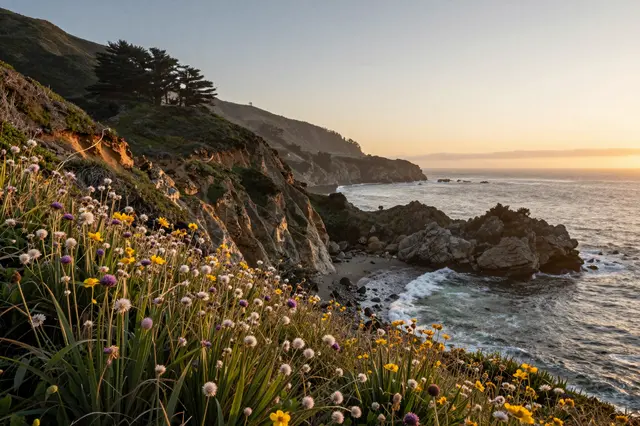 Sunset light illuminates rugged California coastal cliffs dotted with wildflowers above the ocean
