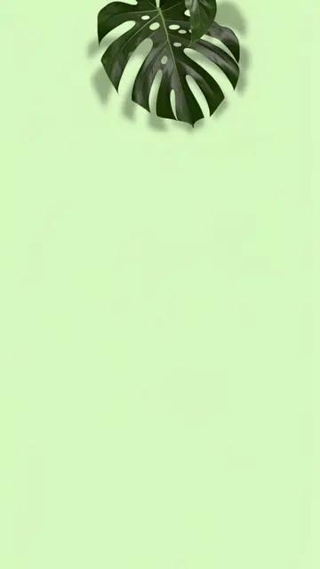 Dark green monstera leaf sits at the top of a pale green vertical background with empty copy space below