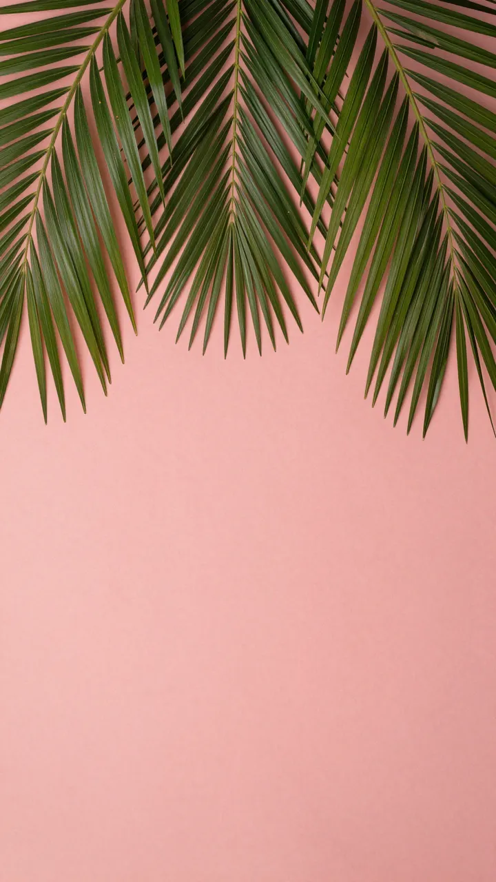 Green palm fronds frame the top of a solid coral pink backdrop with empty copy space below