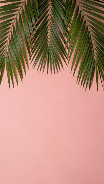 Green palm fronds frame the top of a solid coral pink backdrop with empty copy space below