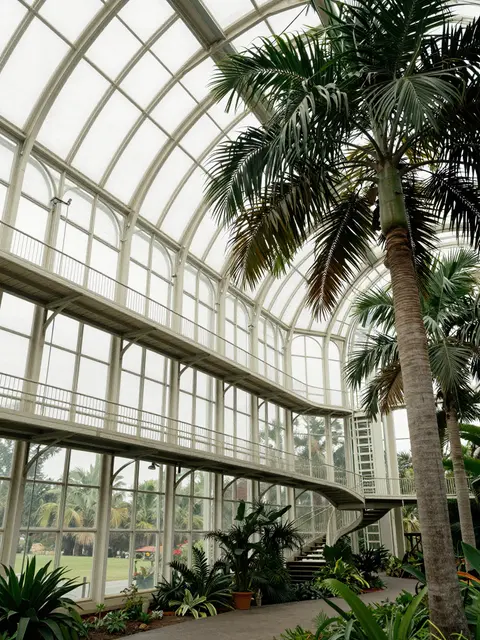 Curved iron and glass palm house interior with tall palm trees, elevated walkways and soft overcast daylight