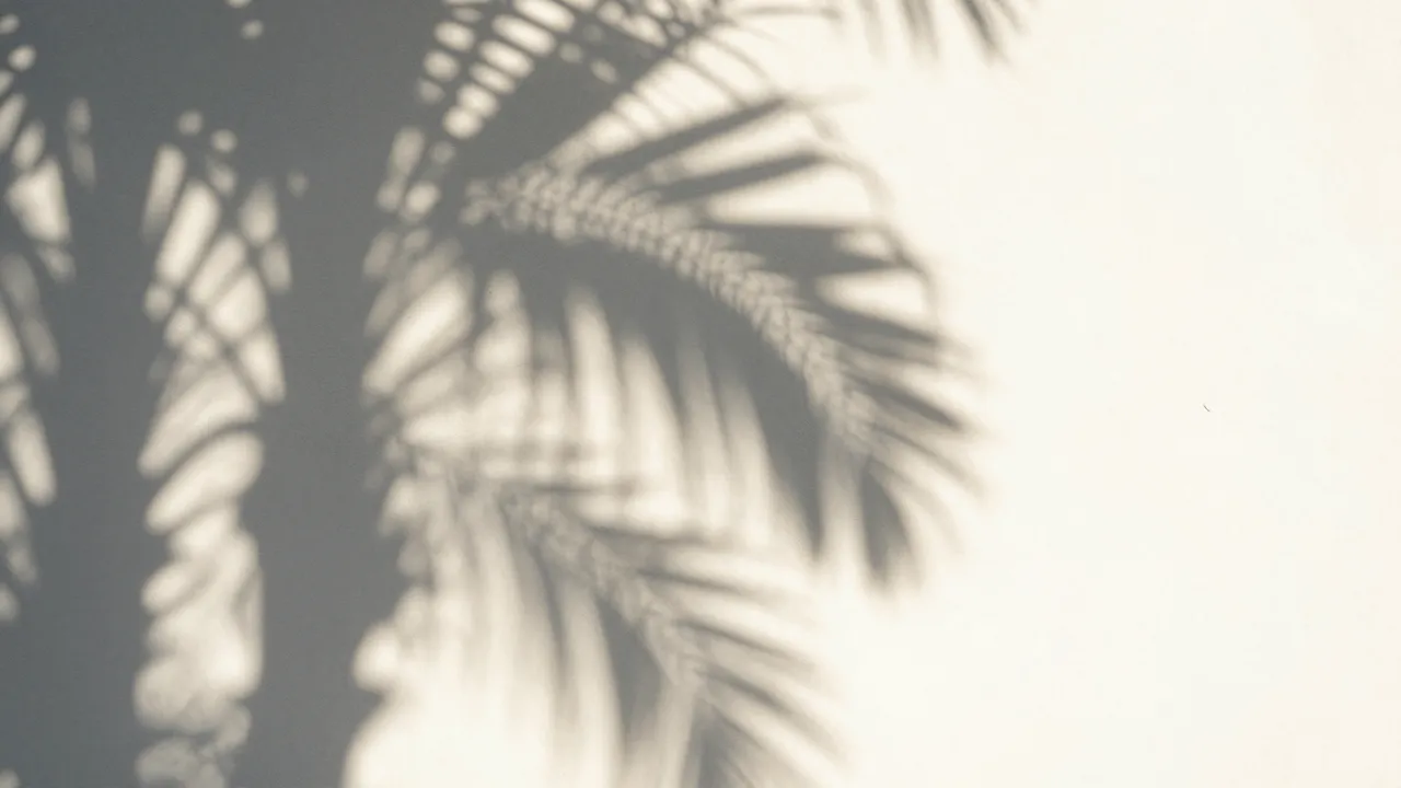 Soft blurred dappled palm frond shadows fall across a warm pale off-white wall with empty copy space on the right
