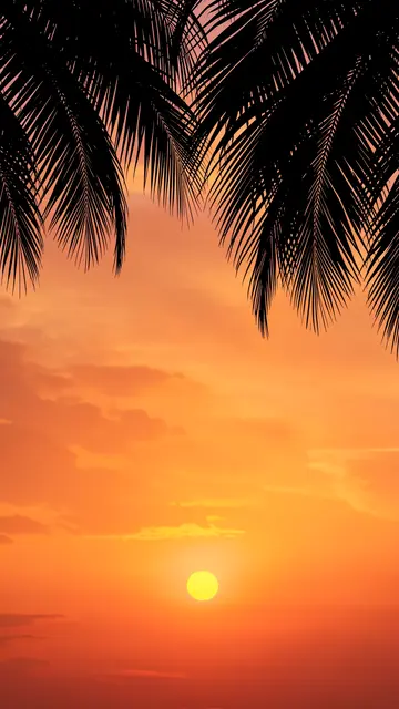 Black palm frond silhouettes frame the top of a warm orange sunset sky with empty vertical copy space below.