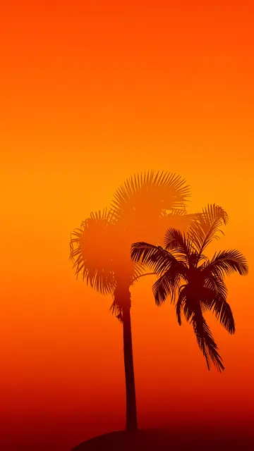Dark palm tree silhouettes sit against a smooth vertical orange to red sunset gradient background
