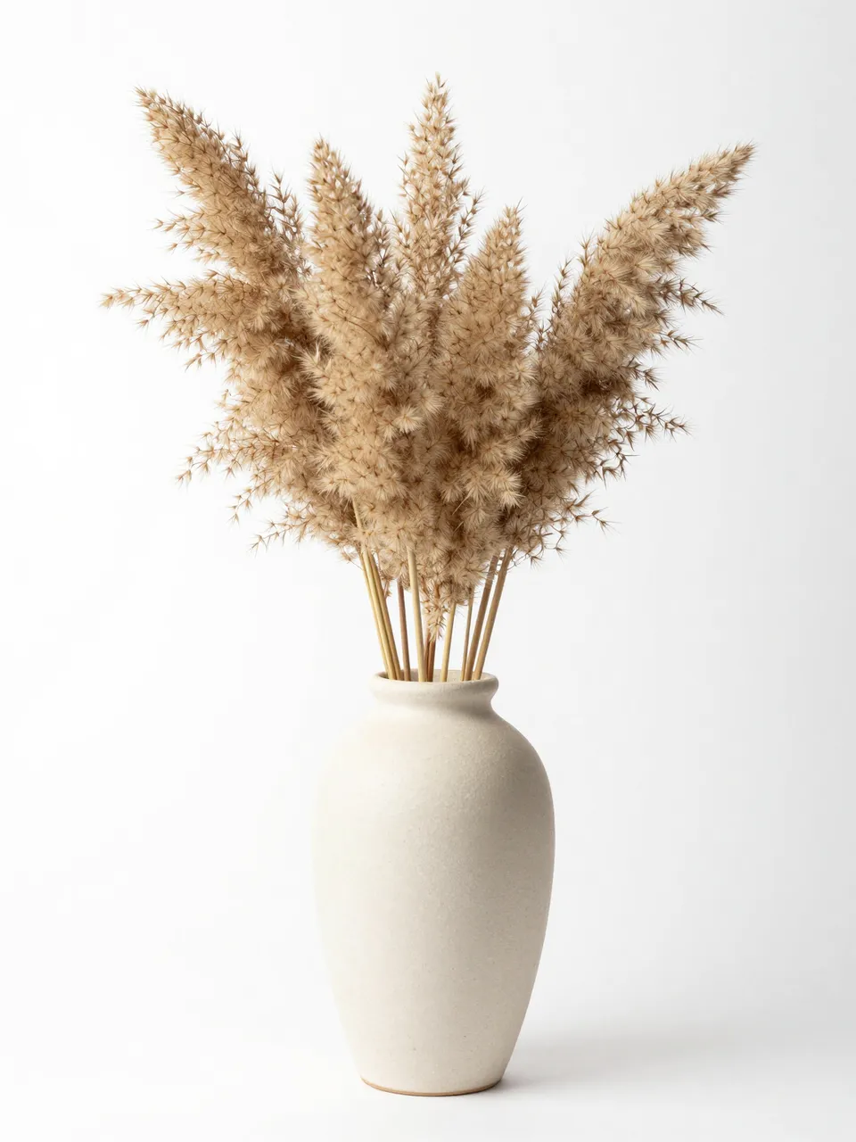 A cream stoneware vase holding dried pampas grass against a plain white studio background