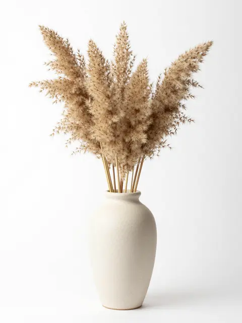 A cream stoneware vase holding dried pampas grass against a plain white studio background