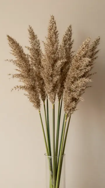 Dried pampas grass stems in a clear glass vase against a soft beige wall