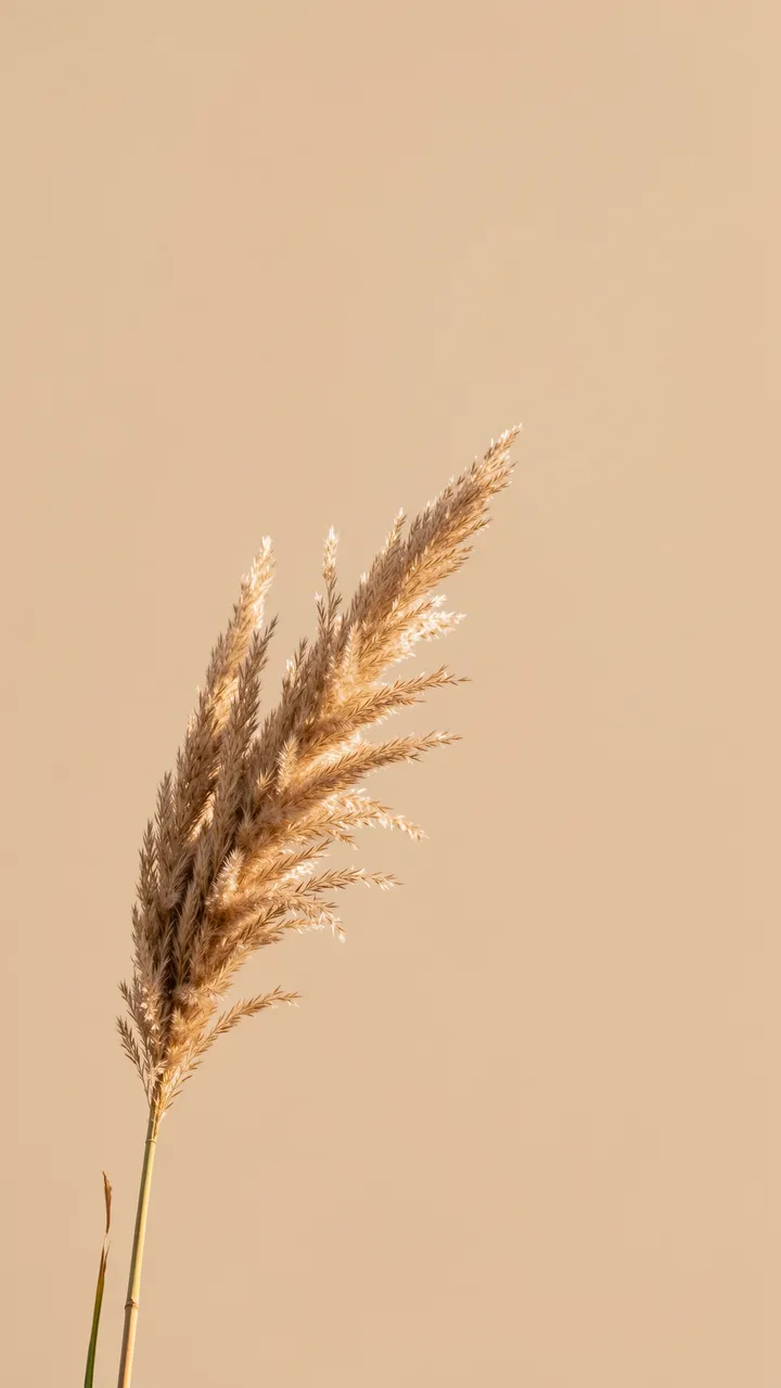 A golden pampas grass plume sits in the lower left against a smooth solid beige background with empty copy space.