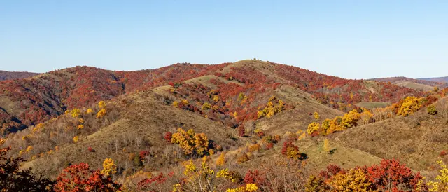 Wide panoramic view of rolling autumn hills covered in red and gold foliage under a clear pale blue sky