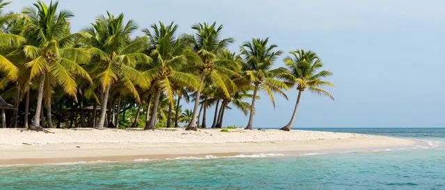 A curved white sand beach lined with coconut palms next to calm turquoise ocean under a pale blue sky