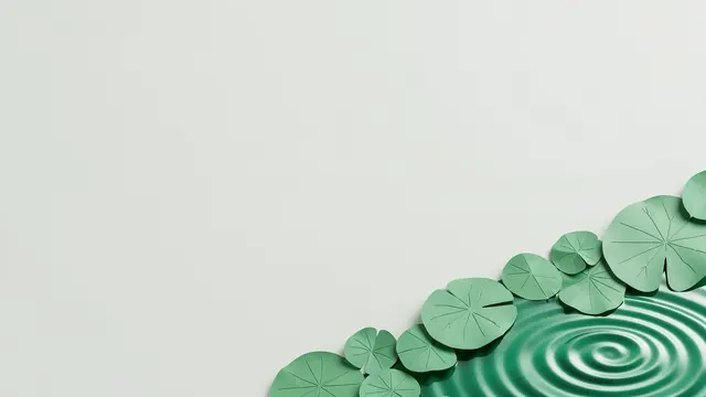 Paper craft lily pads and jade ripples sit at the bottom right of an empty pale background